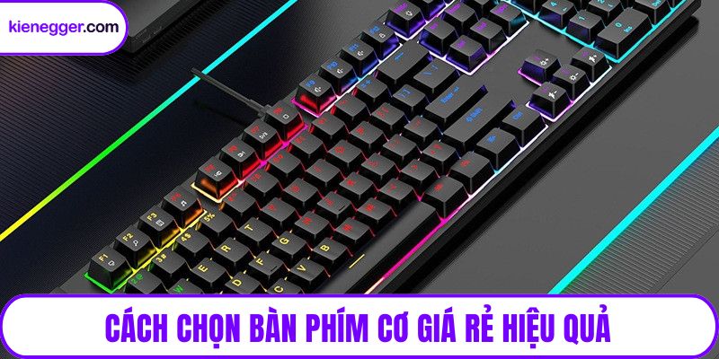 Cách chọn bàn phím cơ giá rẻ hiệu quả