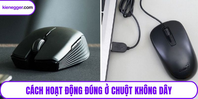Cách hoạt động đúng ở chuột không dây