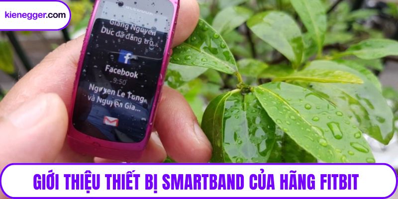 Giới thiệu thiết bị Smartband của hãng Fitbit