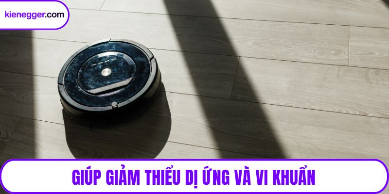 Giúp giảm thiểu dị ứng và vi khuẩn