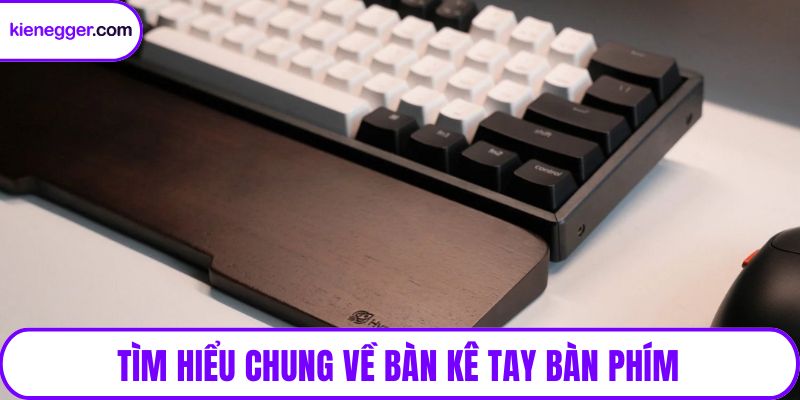 Tìm hiểu chung về bàn kê tay bàn phím