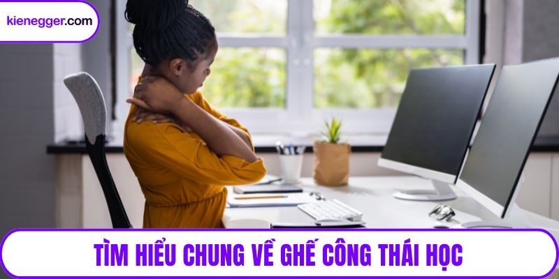 Tìm hiểu chung về ghế công thái học