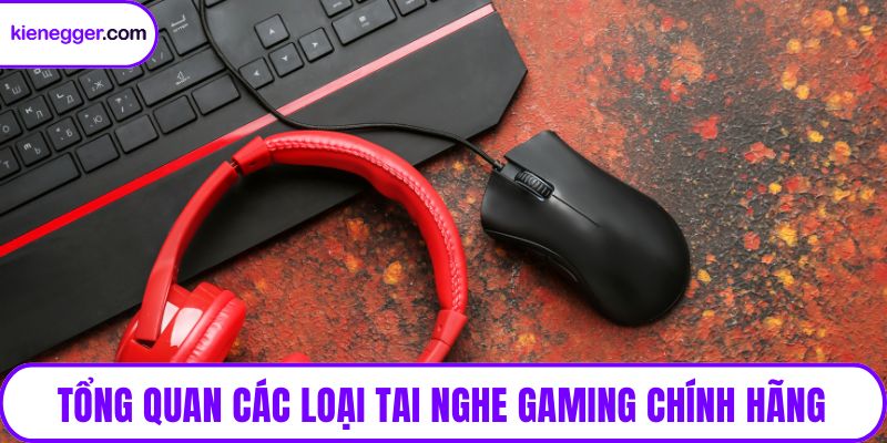 Tổng quan các loại tai nghe gaming chính hãng