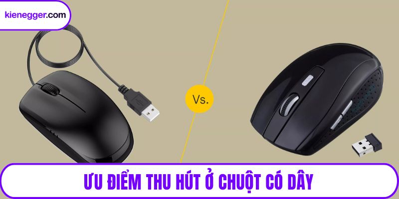 Ưu điểm thu hút ở chuột có dây